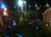 Laka Tunggal di Jalan Yogyakarta-Wates, Truk Muatan Ayam Hilang Kendali dan Terguling ke Sawah