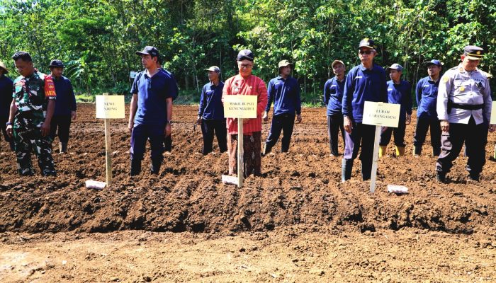 Karangasem Jadi Pilot Project Budidaya Bawang Merah dengan Skema Bagi Hasil