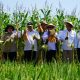 DIY Pamerkan Benih Unggul di Jogja Benih Expo 2025, Kuatkan Ketahanan Pangan Nasional