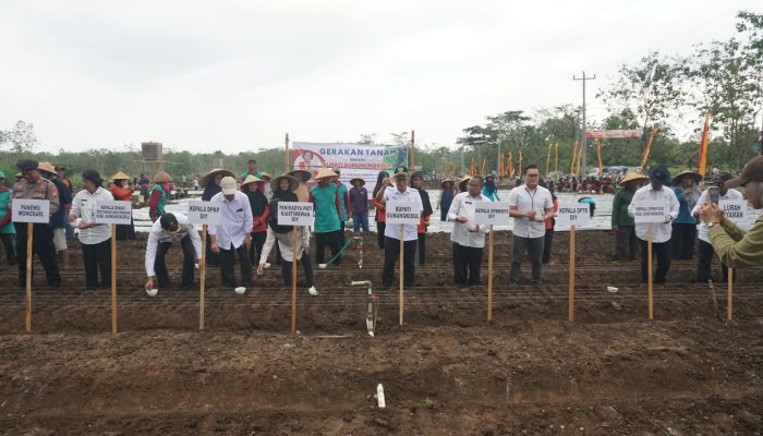 Wujudkan Ketahanan Pangan, Pemkab Gunungkidul Canangkan Gerakan Tanam Hortikultura di Piyaman