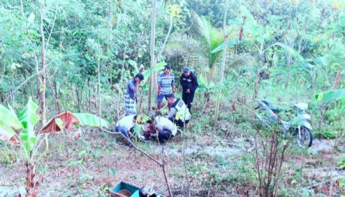 Lansia Terjatuh ke Jurang 3 Meter di Bukit Bego, Diduga Mengantuk saat Berkendara