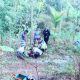 Lansia Terjatuh ke Jurang 3 Meter di Bukit Bego, Diduga Mengantuk saat Berkendara