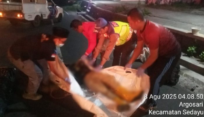 Pemotor Tewas di Bantul: Diduga Kurang Konsentrasi, Tabrak Truk dari Belakang
