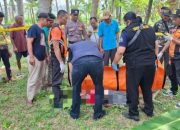 Nahas, Pria 67 Tahun di Kulonprogo Meninggal Jatuh dari Pohon Kelapa