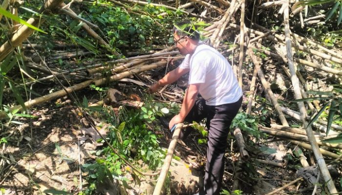 Pencurian Kayu Sonokeling di Sedayu, Kerugian Capai Rp 25 Juta