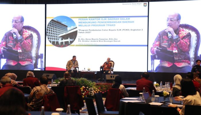 Sinergi Ditjen Bina Keuangan Daerah, OJK dan TPKAD Dorong Perekonomian Daerah