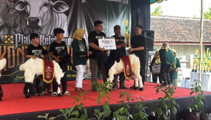 Ada Piala Keistimewaan di Kontes Ternak Gunungkidul, Wabup Joko: Peternakan Jadi Masa Depan