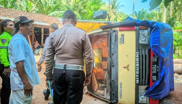 Truk Colt Diesel Terguling, Satu Penumpang Tewas Tertimpa Muatan Kayu