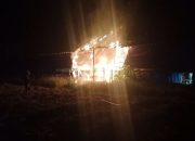 Korsleting Diduga Sebabkan Kebakaran, Ribuan DOC Hangus Terbakar
