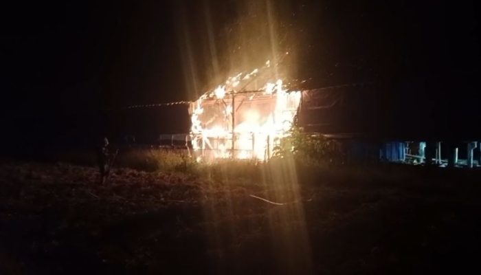 Korsleting Diduga Sebabkan Kebakaran, Ribuan DOC Hangus Terbakar