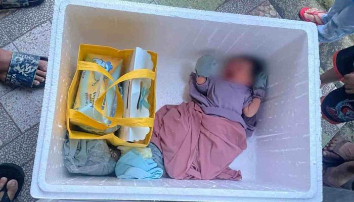 Warga Prambanan Geger! Bayi Perempuan Ditemukan di Dalam Kotak Sterofoam di Pinggir Jalan