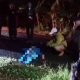 Nyalip di Jalan Gelap, Pemotor Tewas Tabrak Mobil dari Arah Berlawanan