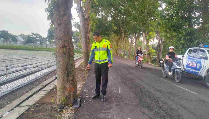 N-Max Oleng dan Tabrak Pohon di Pengasih, Pemuda 24 Tahun Meninggal di Tempat