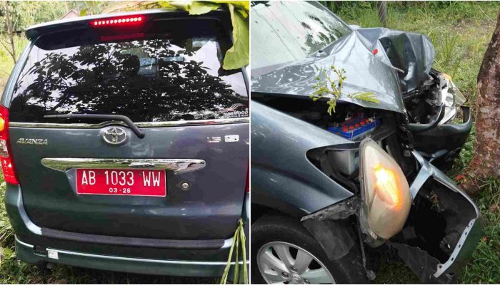 Avanza Tabrak Pohon Jati Usai Hindari Dua Pelajar, Pengemudi Patah Tulang