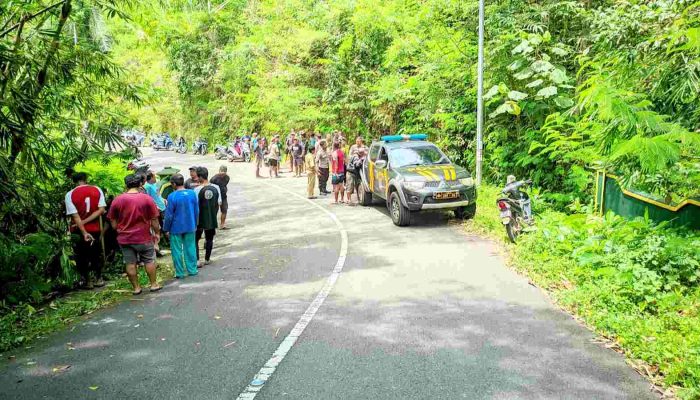 Motor Scoopy Hilang Kendali di Turunan Sokomoyo, Dua Orang Meninggal Dunia