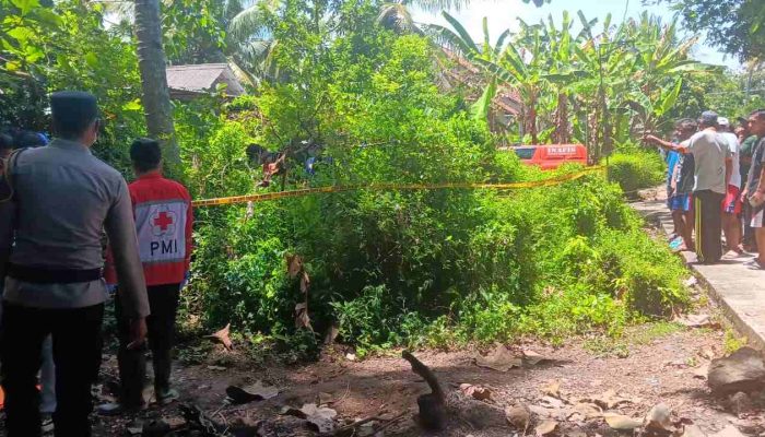 Cium Bau Menyengat, Warga Wates Temukan Mayat Pria di Kebun