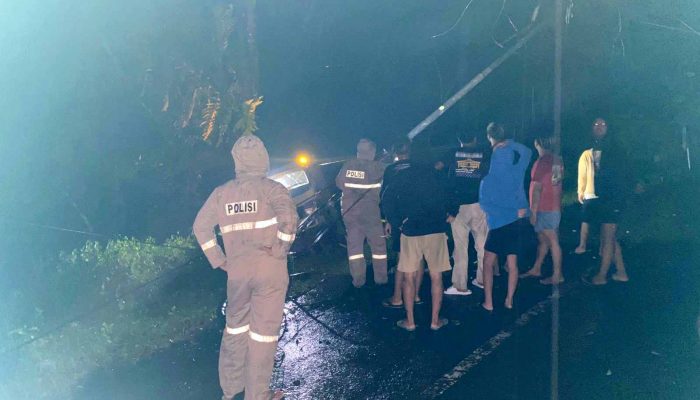 Tak Kuasai Medan, Truk Bermuatan Obat Nyamuk Nyungsep di Tikungan Dlingo