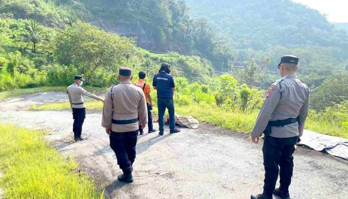 Berangkat Cari Rumput, Saksi Temukan Lansia Meninggal di Jalan Sremo