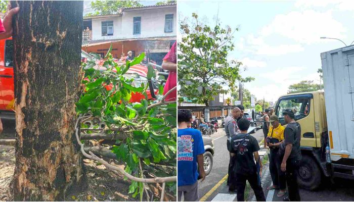 Mobil Xenia Tabrak Divider dan Pohon di Ringroad Selatan, Penumpang Hamil Meninggal Dunia