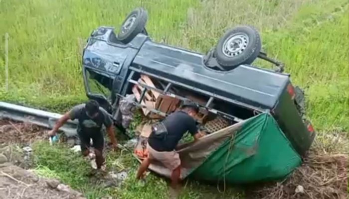 L300 Hilang Kendali di Jalur Nanggulan-Mendut, Terjun ke Sawah Sedalam 3 Meter