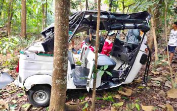 Tak Mampu Kendalikan Kendaraan di Jalan Menurun, Bajaj Ringsek Masuk Kebun