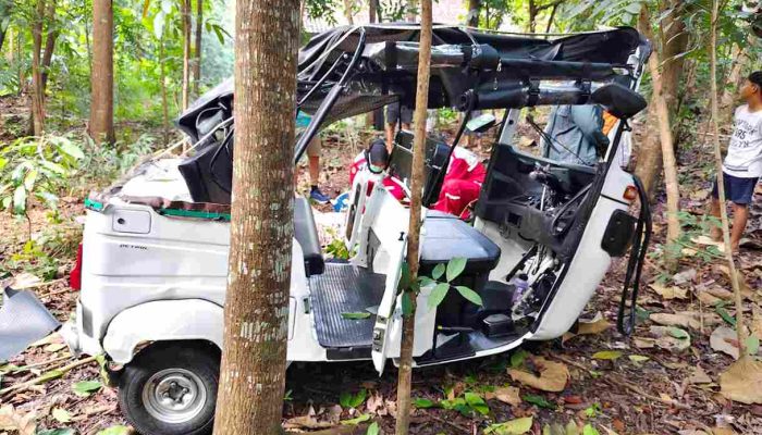 Tak Mampu Kendalikan Kendaraan di Jalan Menurun, Bajaj Ringsek Masuk Kebun