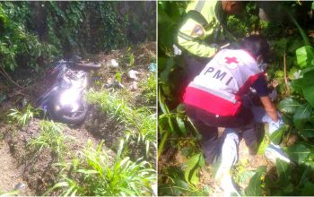 Pemotor Honda Tiger Tabrak Pohon lalu Terpental ke Sawah, Meninggal di TKP