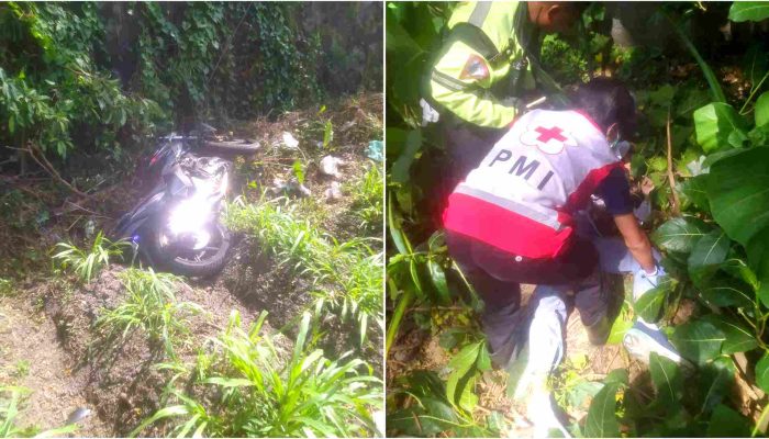 Pemotor Honda Tiger Tabrak Pohon lalu Terpental ke Sawah, Meninggal di TKP