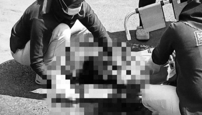 Kecelakaan Maut di Bejiharjo Karangmojo, Siswa SD Meninggal dalam Perjalanan ke Rumah Sakit