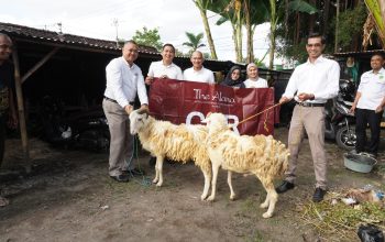 The Alana Hotel & Conference Center Malioboro Bagikan Kambing Kurban Untuk Masyarakat Yogyakarta
