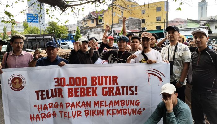 Harga Telur Anjlok, PPBN Bagikan 30.000 Butir Telur Gratis Hingga Surati DPR