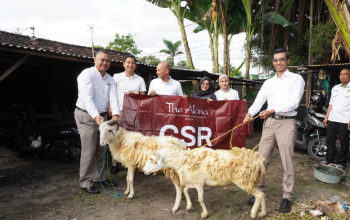 The Alana Hotel & Conference Center Malioboro Bagikan Kambing Kurban Untuk Masyarakat Yogyakarta