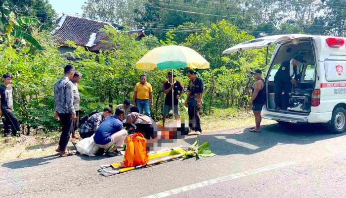 Dua Warga Girisekar Terluka dalam Kecelakaan Bus dan Motor di Jalan Playen-Paliyan