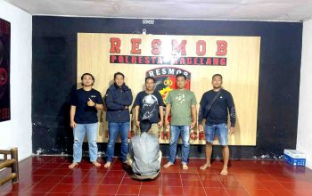Berawal dari Unggahan di Instagram, Polisi Ungkap Penipuan Jual Beli Sapi di Bantul