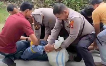 Sedang Memetik Kelapa, Warga Panjatan Kulonprogo Jadi Korban Pembacokan