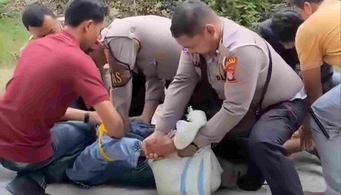 Sedang Memetik Kelapa, Warga Panjatan Kulonprogo Jadi Korban Pembacokan