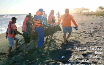 Mayat Bocah Korban Tenggelam di Pantai Goa Cemara Ditemukan Mengapung di Pantai Bugel Kulonprogo