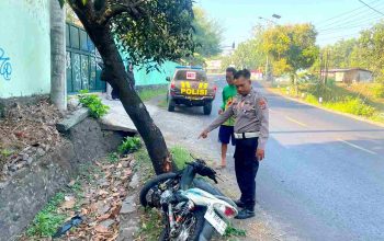 Diduga Hilang Konsentrasi, Pengendara Jupiter Z Keluar Jalur dan Tabrak Pohon