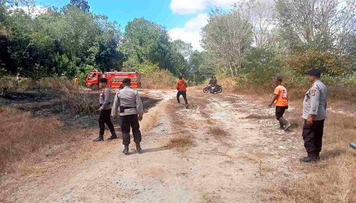 Lahan Seluas 2.000 Meter Persegi di Piyungan Terbakar, Diduga Akibat Puntung Rokok