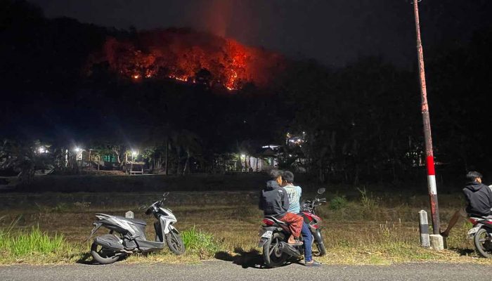 8 Hektare Lahan di Imogiri Terbakar, Api Muncul di Delapan Titik