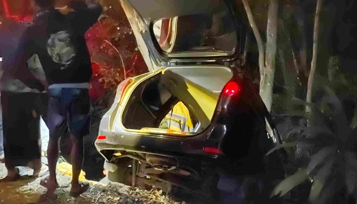 Kecelakaan Tunggal di Jalan Imogiri-Dlingo Bantul, Daihatsu Xenia Terjun ke Jurang