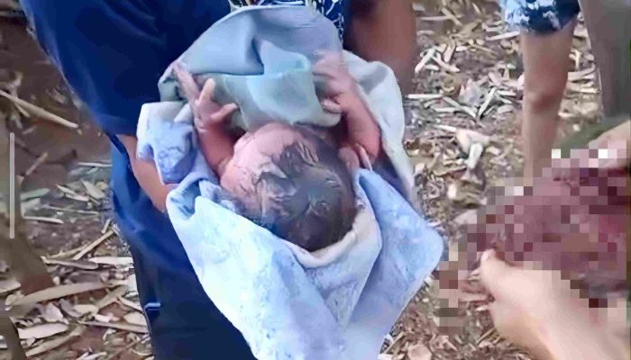 Bayi Laki-Laki Ditemukan di Semak Belukar Pekarangan Rumah Warga di Semin, Tali Pusar Masih Menempel