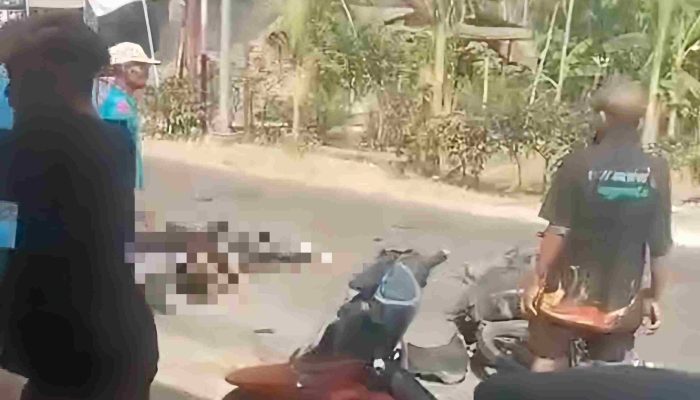 Vario Tabrak Kijang di Playen, Dua Pelajar Luka Kepala dan Satu Patah Tangan