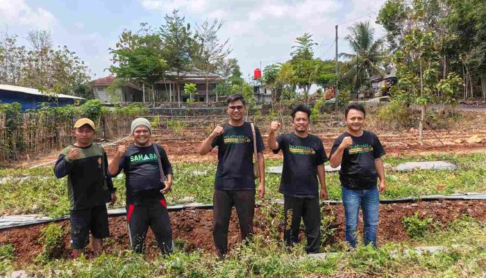 ANSOR ECO-PRENEUER MOVEMENT Dorong Kader Kembangkan Budidaya Cabai Hidroponik