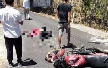 Honda Verza Tabrak Truk di Saptosari, Pengendara Meninggal Dunia di Lokasi