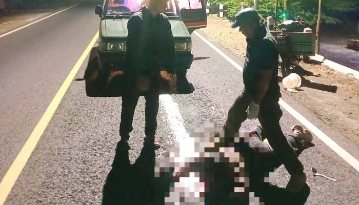Pengendara Motor Tabrak Kucing di Jalan Jogja-Wonosari, Korban Cedera Kepala Berat
