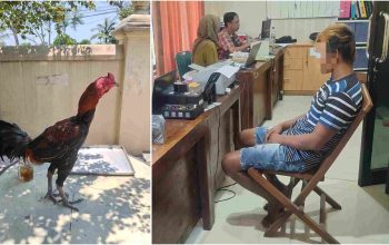 Curi Ayam Bangkok Tetangga di Bantul, Pelaku Ternyata Residivis