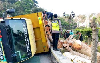 Ban Belakang Pecah, Truk Bermuatan Kayu Terguling di Tikungan Hargodumilah