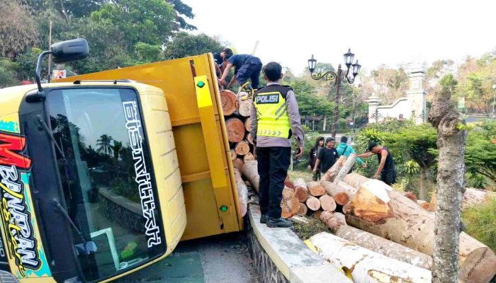 Ban Belakang Pecah, Truk Bermuatan Kayu Terguling di Tikungan Hargodumilah