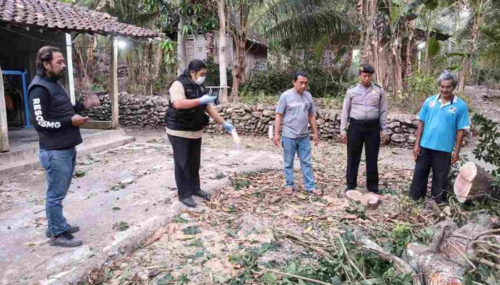 Petik Sawo, Pria 66 Tahun di Kulonprogo Jatuh dari Pohon Setinggi 3 Meter hingga Meninggal Dunia